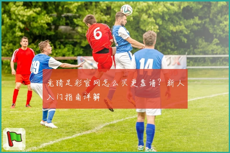 竞猜足彩官网怎么买更靠谱？新人入门指南详解