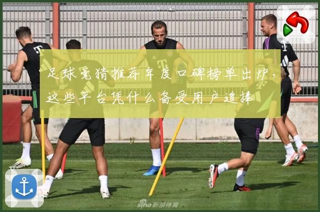 足球竞猜推荐年度口碑榜单出炉，这些平台凭什么备受用户追捧