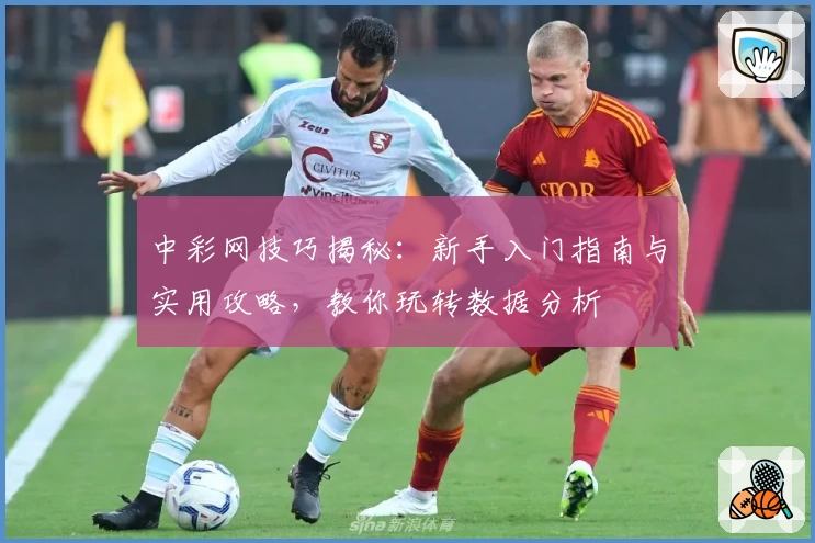 中彩网技巧揭秘:新手入门指南与实用攻略,教你玩转数据分析