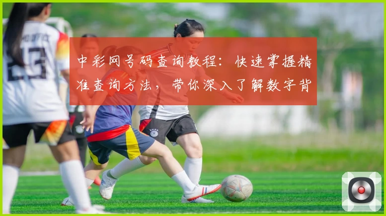 中彩网号码查询教程：快速掌握精准查询方法，带你深入了解数字背后的小秘诀