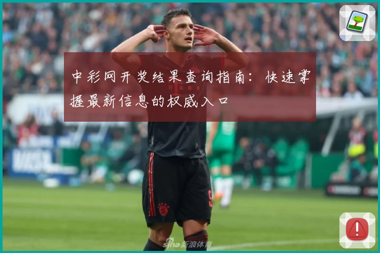 中彩网开奖结果查询指南：快速掌握最新信息的权威入口