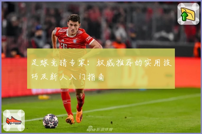 足球竞猜专家：权威推荐的实用技巧及新人入门指南