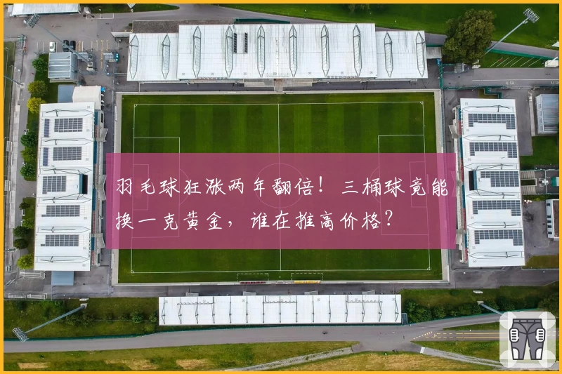 羽毛球狂涨两年翻倍！三桶球竟能换一克黄金，谁在推高价格？