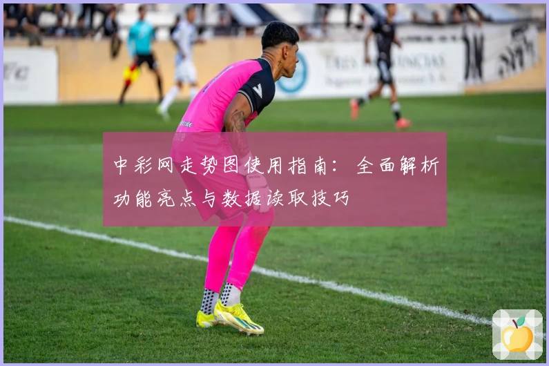 中彩网走势图使用指南：全面解析功能亮点与数据读取技巧