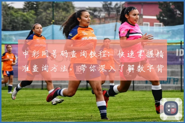 中彩网号码查询教程：快速掌握精准查询方法，带你深入了解数字背后的小秘诀